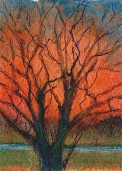 "Cottonwood" by Marilyn Knipfer, Deerfield WI - Acrylic